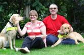 Слепые британцы познакомились благодаря собакам-поводырям