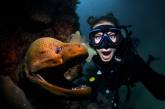 Потрясающие подводные снимки с морскими обитателями от Шеннон Лии Майерс. ФОТО