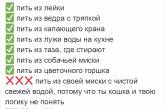 Пользователи Сети рассказали о странных привычках своих котов. ФОТО