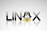 Новую версию Linux назвали в честь старой Windows