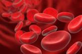 Названы безопасные способы повысить гемоглобин