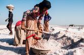 Как добывают соль в Индии. Фото