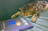 Кубанского кота устроили на работу в библиотеку 