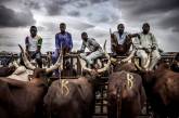 Нигерийский скотоводческий народ Фулани. ФОТО