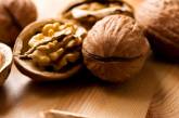 Грецкие орехи стимулируют работу мозга