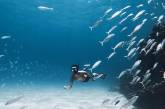 Захватывающие подводные снимки от Нолана Омура. ФОТО