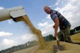 Украина невероятными темпами собирает рекордный урожай зерна