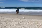 Оптическая иллюзия с пляжем удивила многих пользователей сети. ФОТО