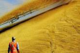 Украина ударными темпами экспортирует зерно