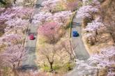 Природные и городские пейзажи Японии на снимках Хироки Фурукавы. ФОТО