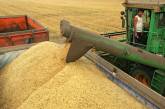 Несмотря на рекордный урожай зерна, аграрии пойдут в минус