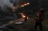 Сильные лесные пожары в Португалии. ФОТО