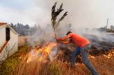 Как борются с лесными пожарами в Португалии. Фото