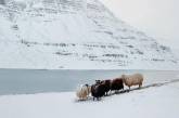 Яркие пейзажи от фотографа-самоучки из Норвегии. Фото