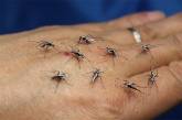 Реалистичные бумажные комары, которых так и хочется прибить. ФОТО