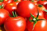 Селекционеры вывели новый сорт помидоров со сроком хранения до 45 дней