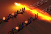 Углеродные транзисторы вырастили на нитях ДНК