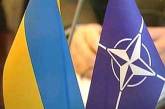 Виктор Ющенко утвердил программу подготовки к вступлению в НАТО