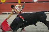 Испанский матадор вышел победителем из боя с шестью быками
