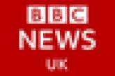 Паук стал незваным гостем в прямом эфире BBC. ВИДЕО