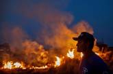 Как горят леса Амазонии: свежие снимки. ФОТО
