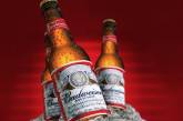 В Италии запрещена продажа пива Budweiser крупнейшего пивовара мира