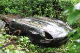 Восстановление винтажного Jaguar, который гнил в зарослях почти 30 лет. ФОТО