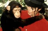 Коллекция скульптур животных на ранчо Майкла Джексона Neverland выставлена на продажу. ВИДЕО