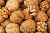Медики рассказали, какой орех снижает уровень “плохого” холестерина