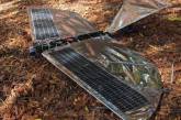 Американцы создали робота-ворона на солнечных батареях