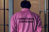 В Австралии для байкеров предложили ввести розовые тюремные робы