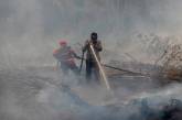 Катастрофические лесные пожары в Индонезии. ФОТО