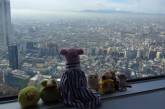 В Японии открылась турфирма для мягких игрушек