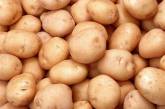 За год картофель в Украине подорожал в четыре раза