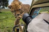 Фотографы в тесном контакте с животным миром. ФОТО