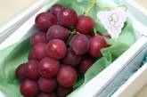 Самый дорогой виноград в мире по $11 000 за гроздь. ФОТО
