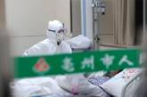 Китайские медики разработали вакцину от птичьего гриппа 