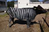 Ученые перекрасили коров в зебр и получили неожиданный эффект. ФОТО