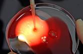 Ученые создали искусственную кровь 