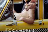 Фотограф вставляет снимки своего кота в постеры популярных фильмов. ФОТО