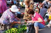 Овощи и борщ в Украине за год подорожали втрое 