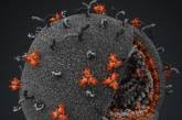 Ученые рассмотрели "якорь" вируса иммунодефицита человека