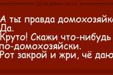 Свежие анекдоты о языке домохозяек и способностях котов. ФОТО