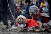 Ежегодный парад собак в честь Хэллоуина в Нью-Йорке. ФОТО