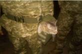 Украинские воины показали забавное фото с котом Патроном. ФОТО