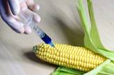 В Украине начали легализировать ГМО