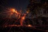 Мощные пожары бушуют в Калифорнии. ФОТО