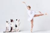 Снимки танцоров с собаками в фотопроекте. ФОТО