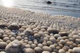 В Финляндии на пляже обнаружили тысячи ледяных шаров. Фото