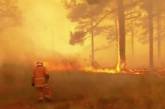 Появились кадры последствий лесных пожаров в Австралии. ВИДЕО